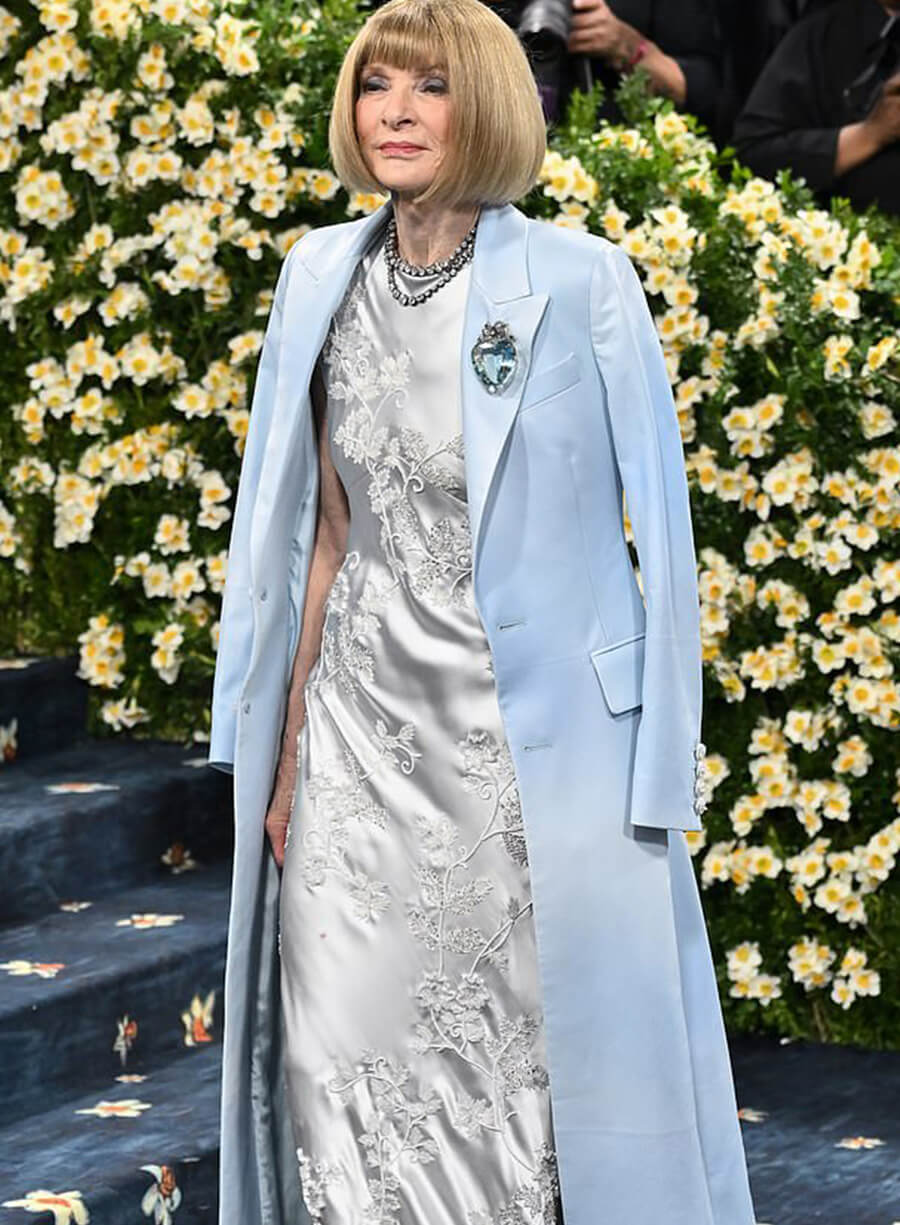 Anna Wintour Met Gala Red Carpet 2025 Coat