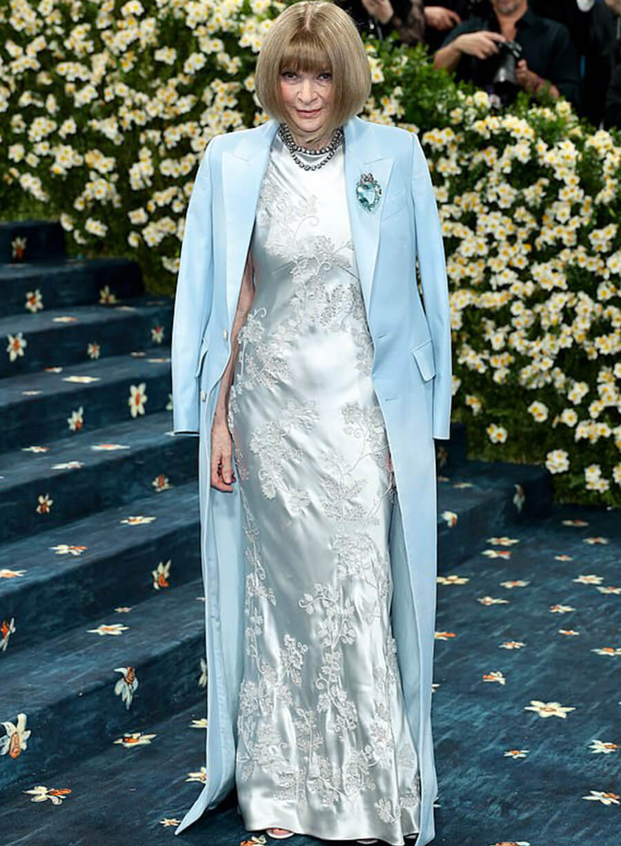 Anna Wintour Met Gala Red Carpet 2025 Coat