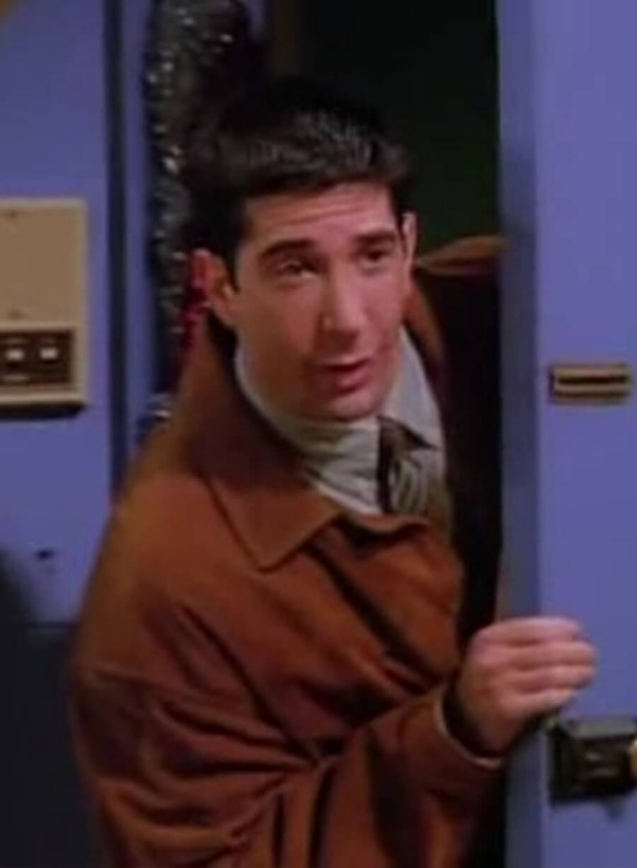 David Schwimmer Friends Brown Suede Jacket