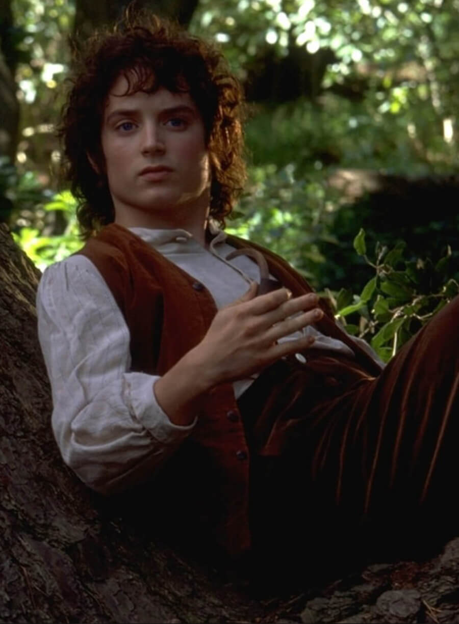 Elijah Wood The Lord of the Rings Brown Vest