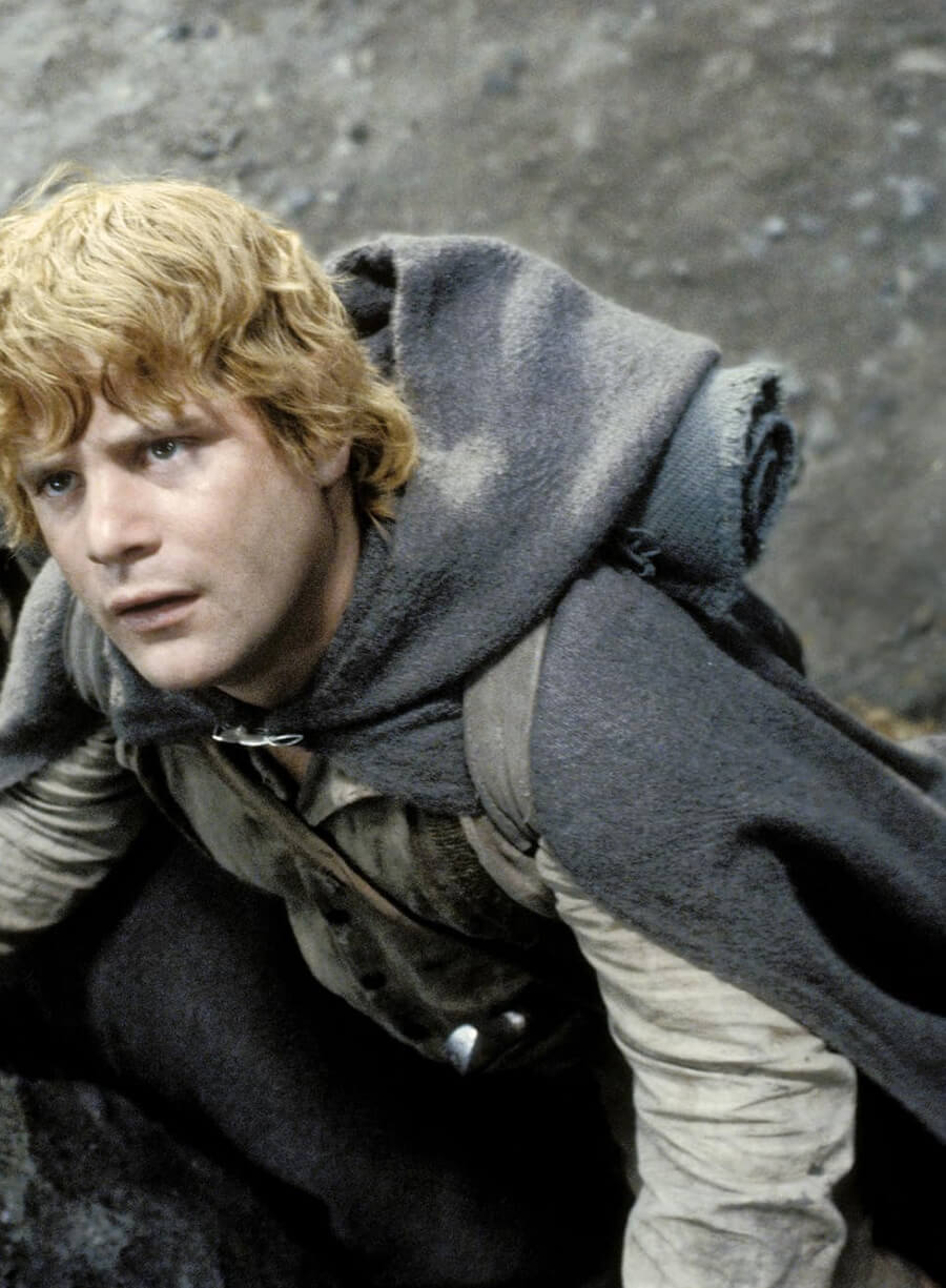 Elijah Wood The Lord of the Rings Frodo Grey Cloak