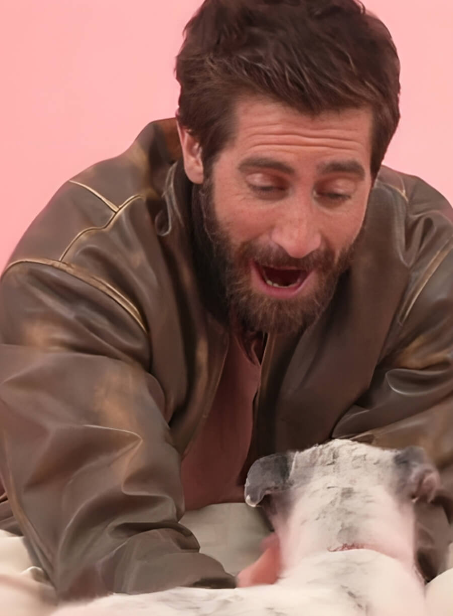 Jake Gyllenhaal Distressed Brown Leather Jacket