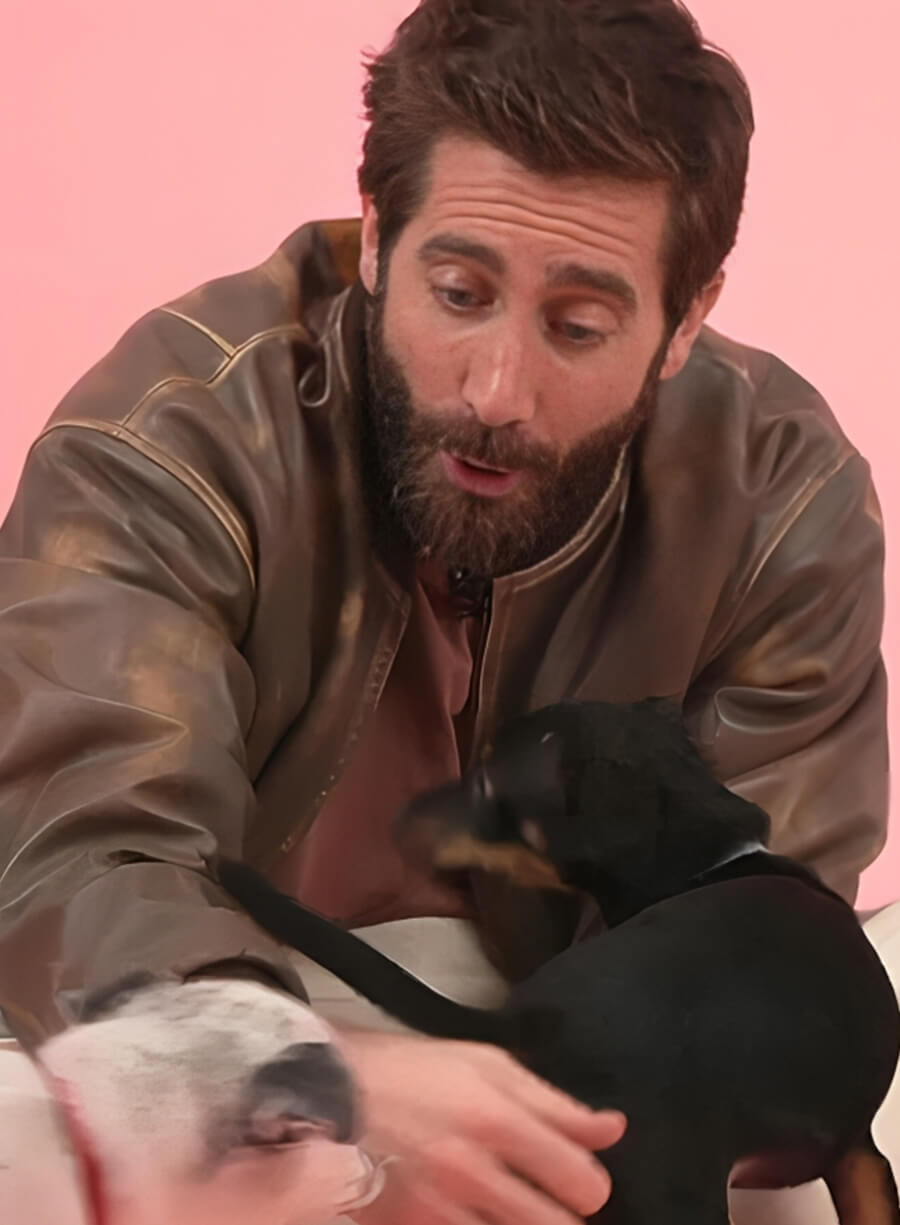 Jake Gyllenhaal Distressed Brown Leather Jacket
