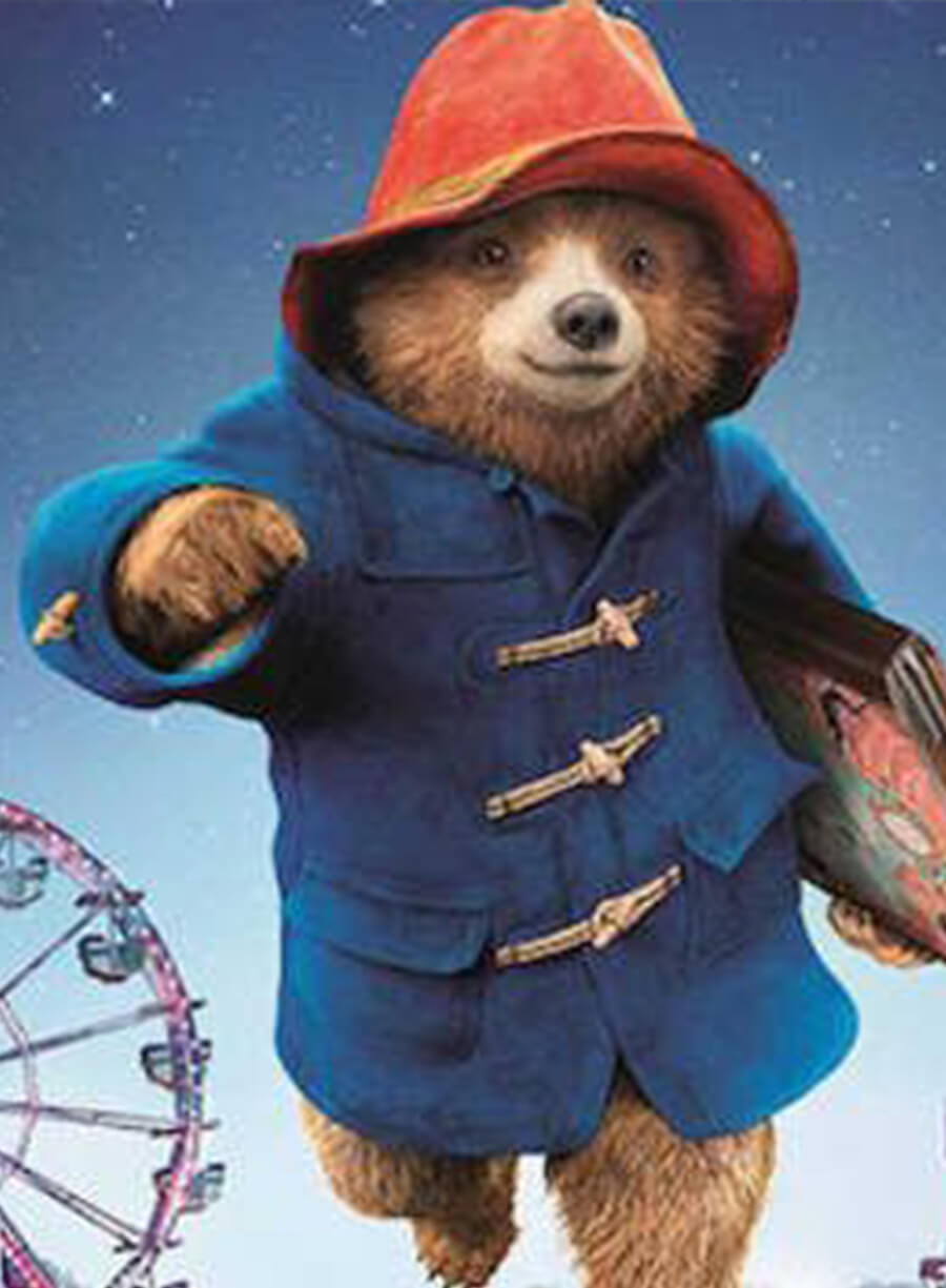 Paddington in Peru 2024 Blue Jacket