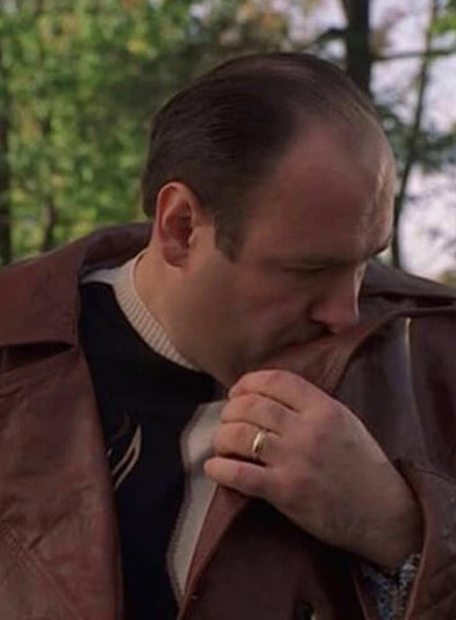 The Sopranos Tony Soprano Brown Leather Coat