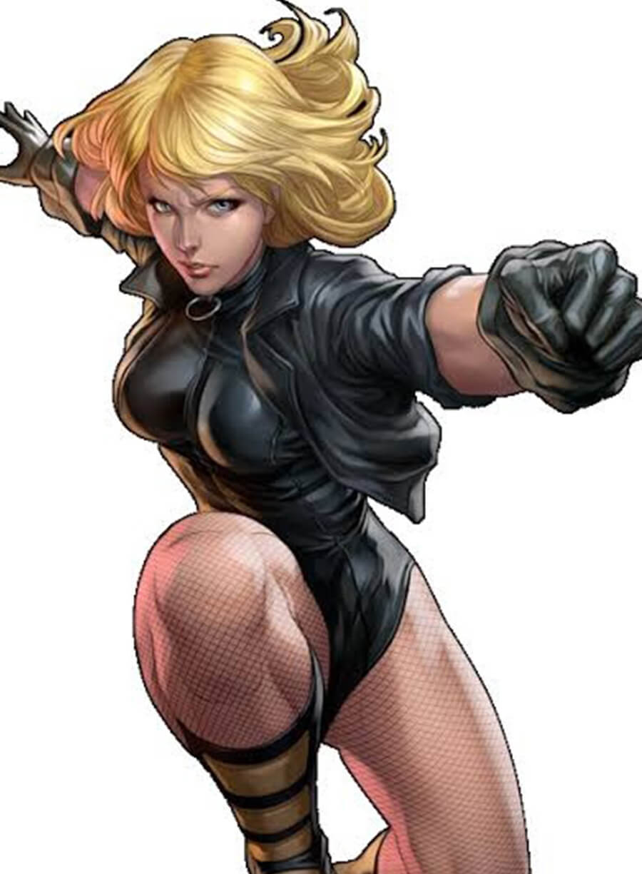 Black Canary Cropped Black Leather
