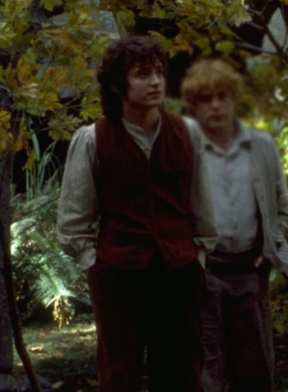 Elijah Wood The Lord of the Rings Brown Vest