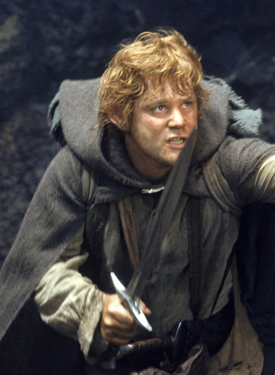 Elijah Wood The Lord of the Rings Frodo Grey Cloak