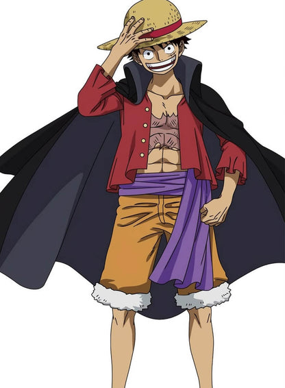 Monkey D. Luffy One Piece purple coat