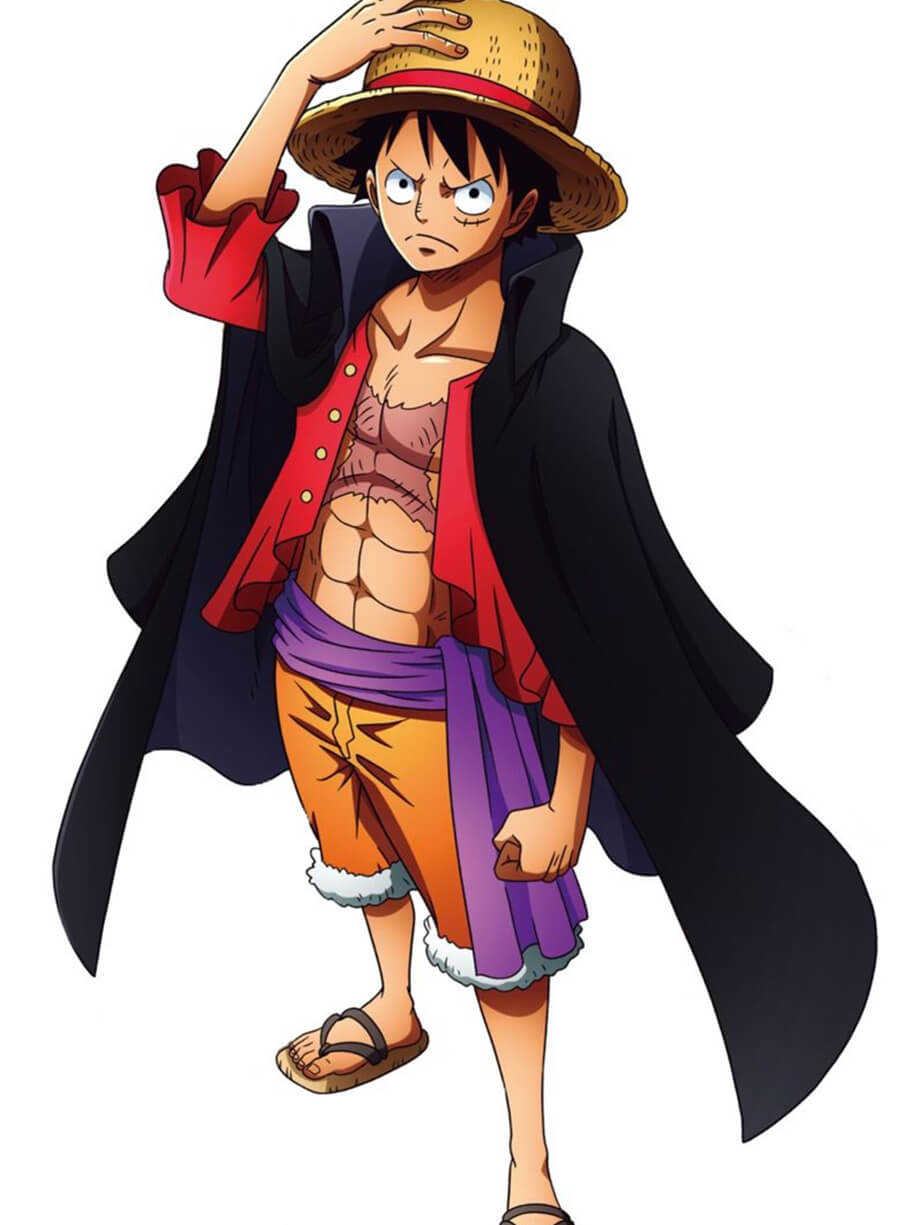 Monkey D. Luffy One Piece purple coat