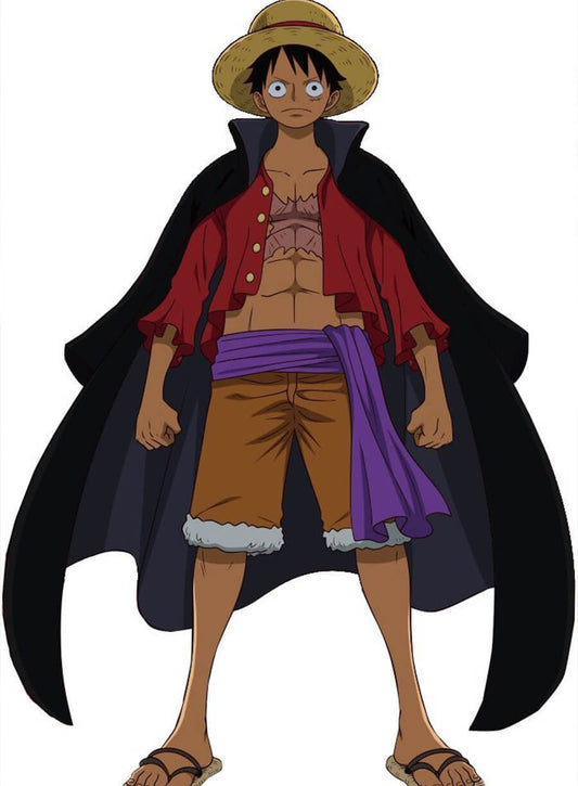 Monkey D. Luffy One Piece purple coat