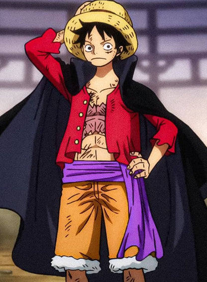 Monkey D. Luffy One Piece purple coat