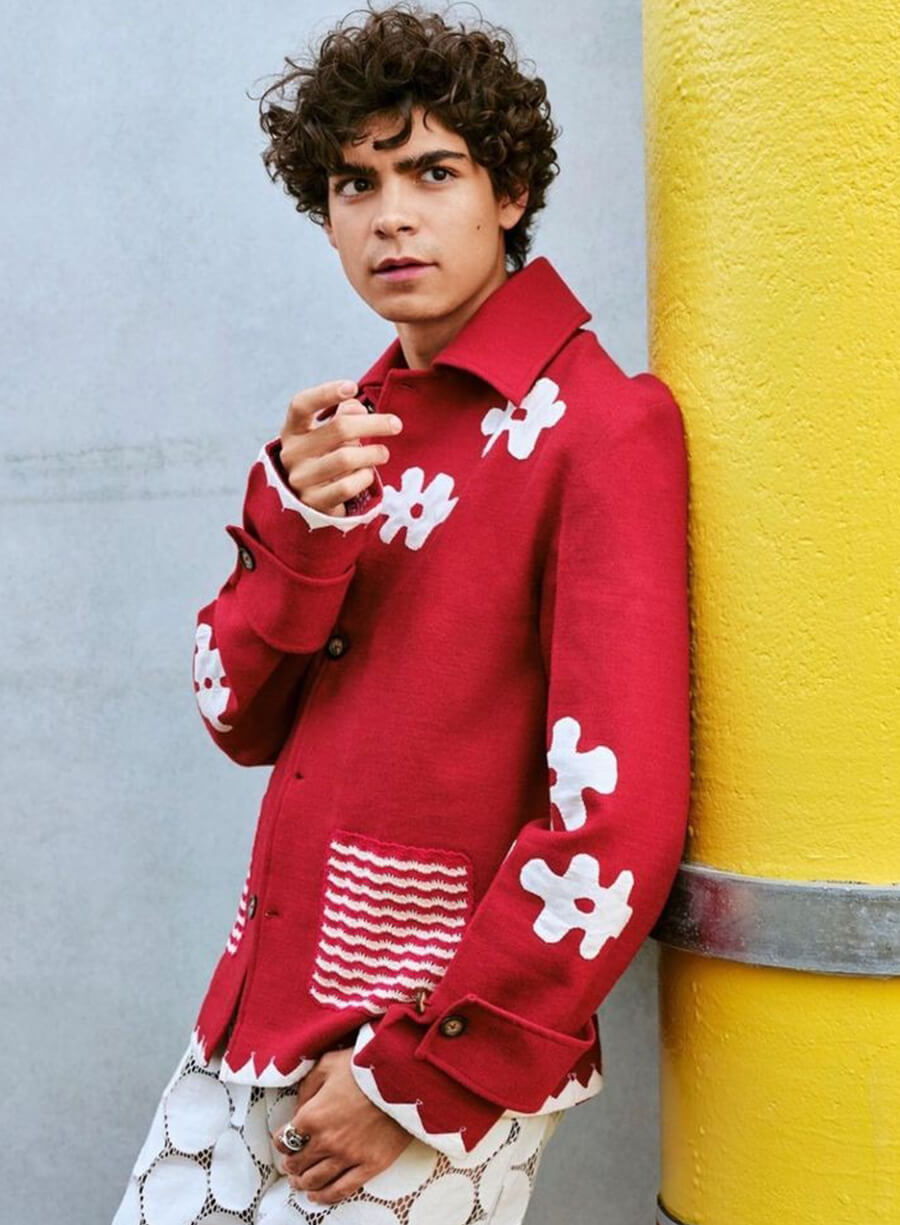 Monkey D. Luffy One Piece S01 Red Coat